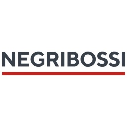 negri bossi logo257.jpg